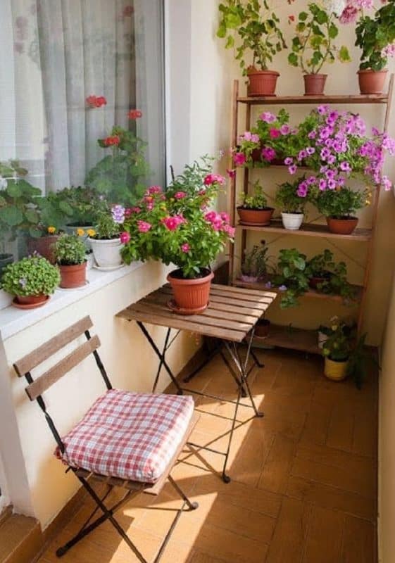 Plant pots in window ledges and shelving