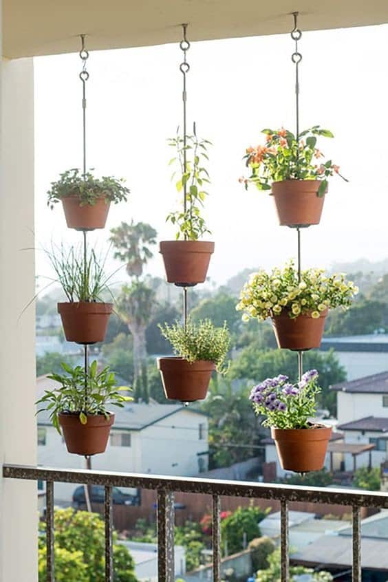 A mini herb garden, hanging plants