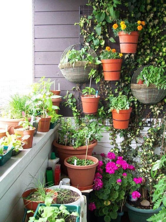 A balcony corner filled with life and greenery