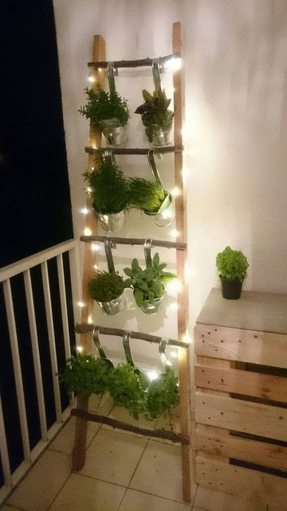 Vertical steps garden with lights