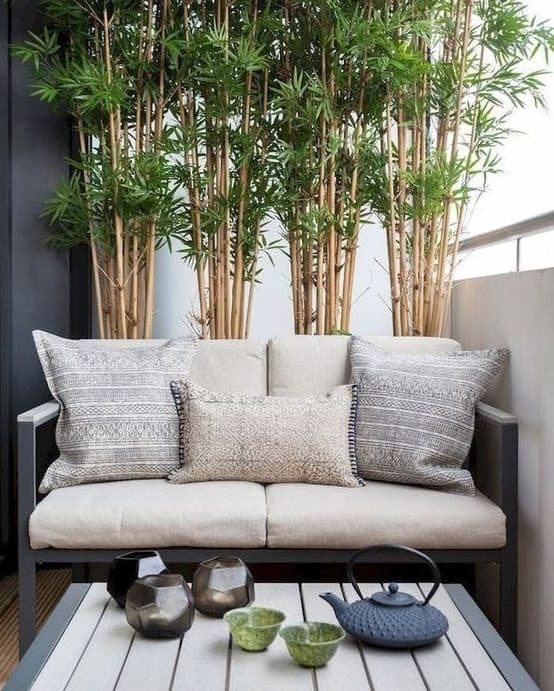Bamboo on balcony for privacy