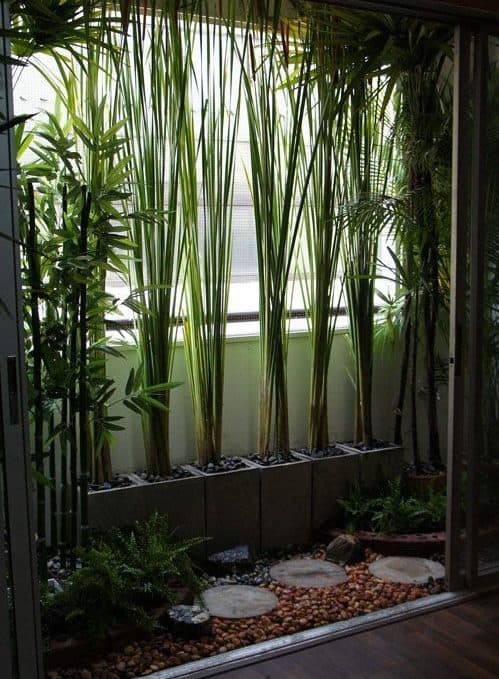 Bamboo and stepping stones