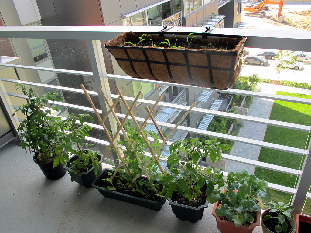 Rail balcony garden bed, potted plants and small trellis