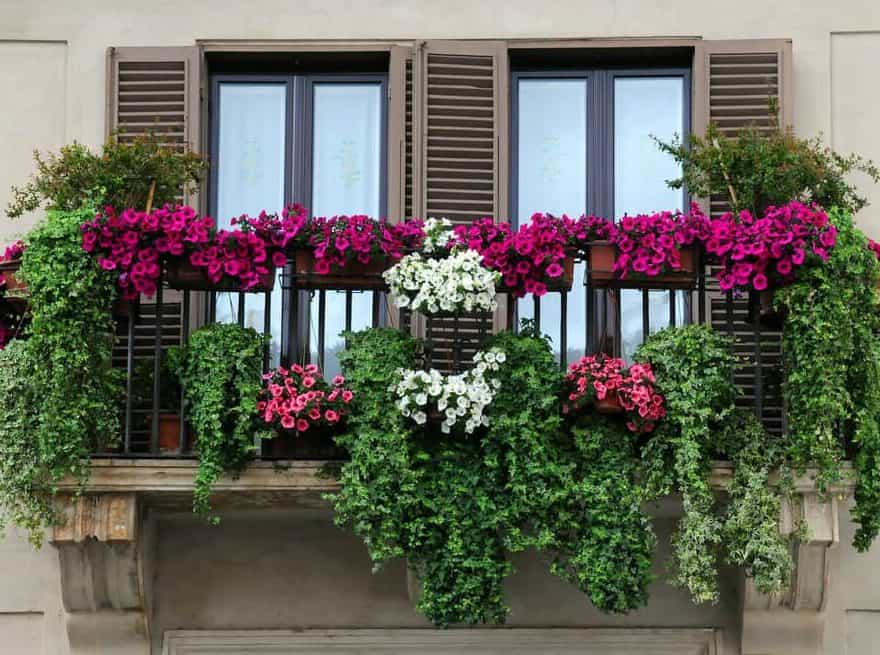 The dream balcony floral oasis that looks like it's straight out of an Italian rom-com