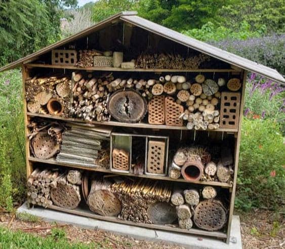 Bug hotel for the insects
