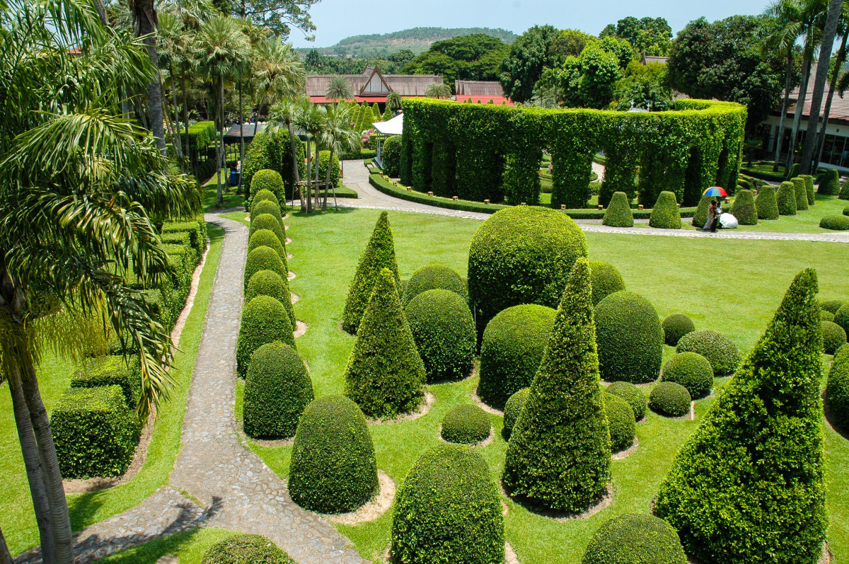 Hedges clipped in unique shapes