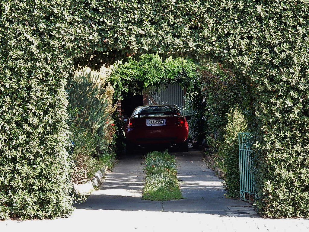Driveway with hedges and arbour