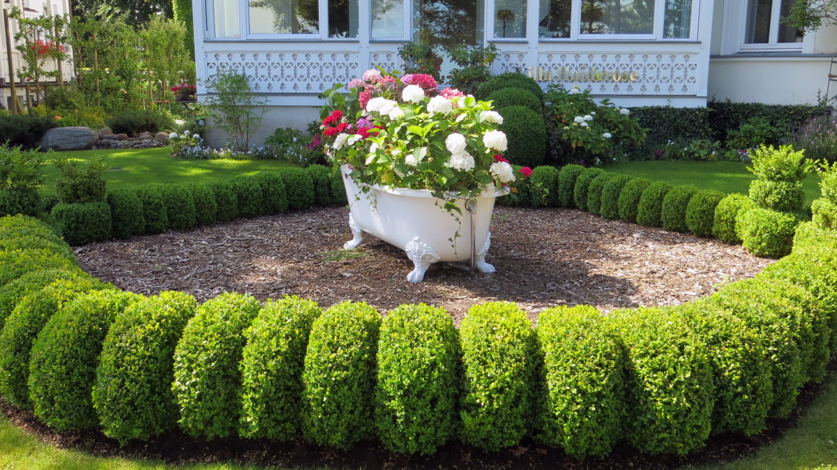 Front Yard Hedge Ideas
