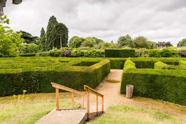 Garden hedge maze