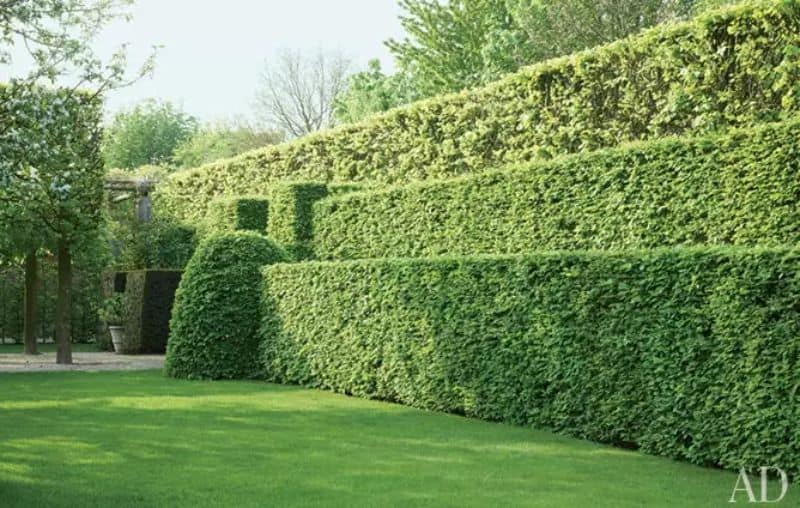 Stacked hedges or brick-like hedges, mimicking the look of a garden staircase