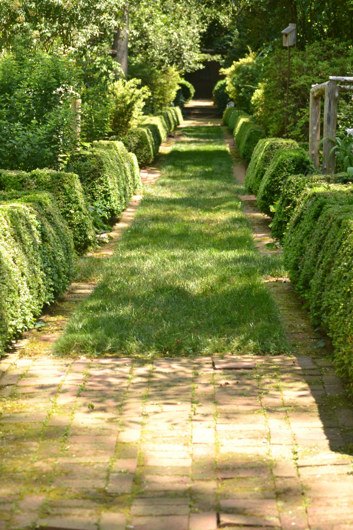Long courtyard defined by hedges