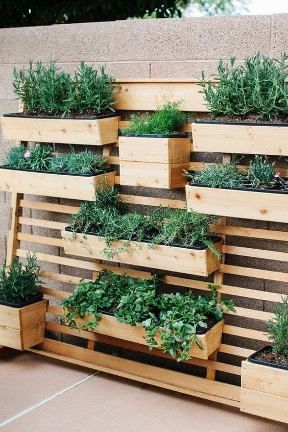 Modern vertical herb garden
