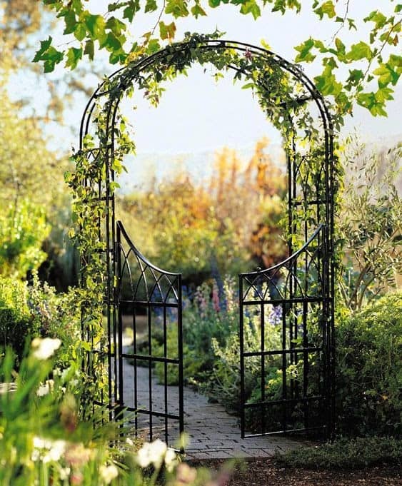 Iron gated arbour with trellis