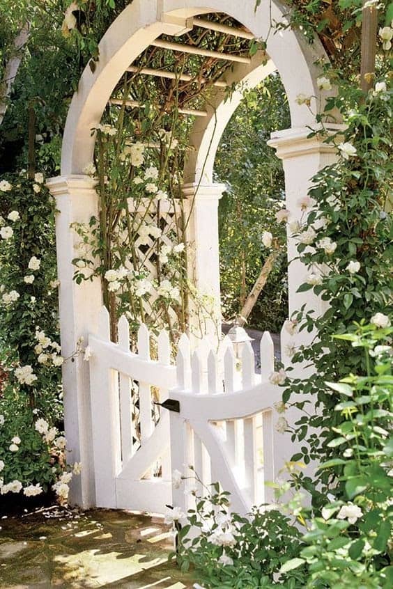 White fence and gate with white flowers