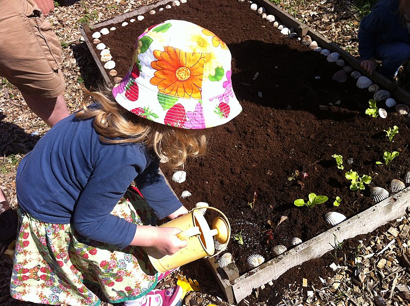 A kid watering the soil