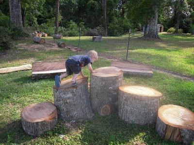 Tree stump agility arena