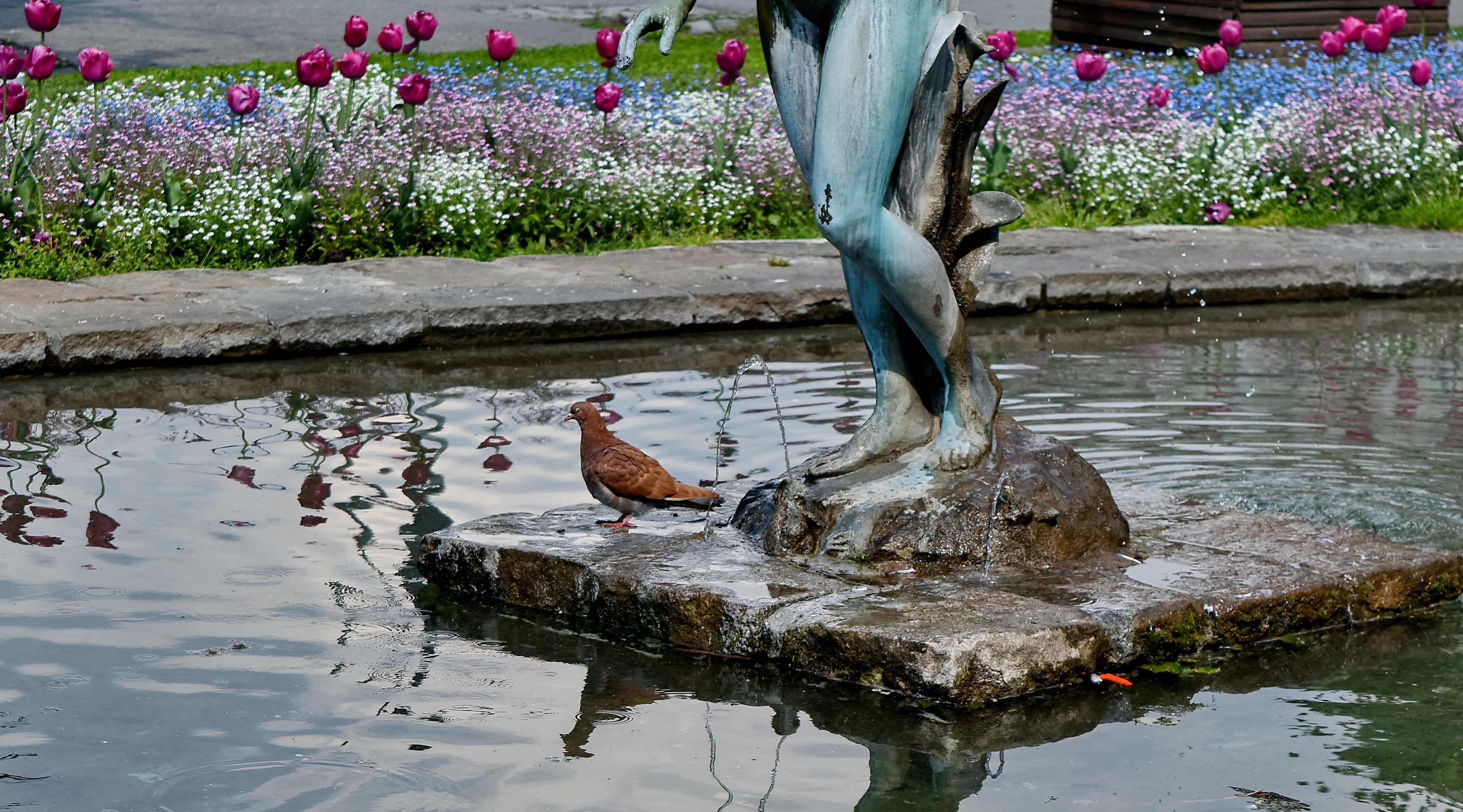 Garden stone pond, featuring a focal point statue