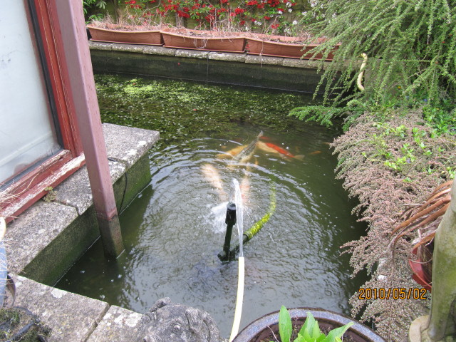 Side Koi garden pond