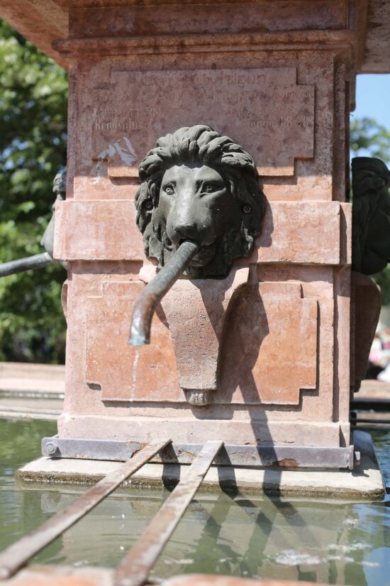 Carved rustic fountain with a lion head