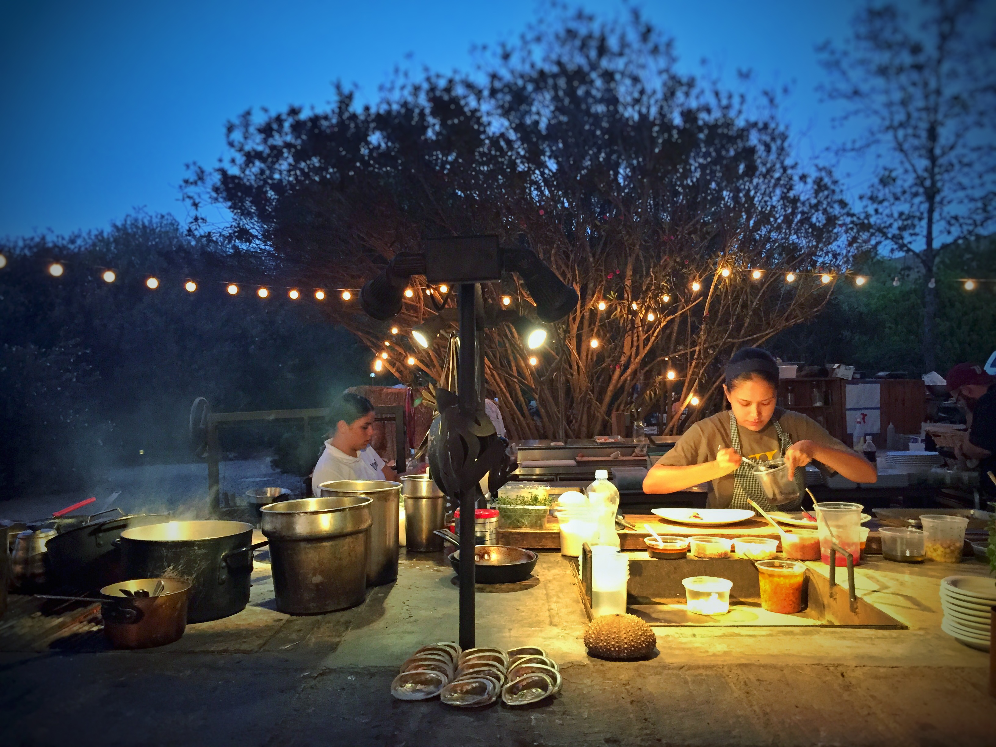 Outdoor kitchen with staff preparing food