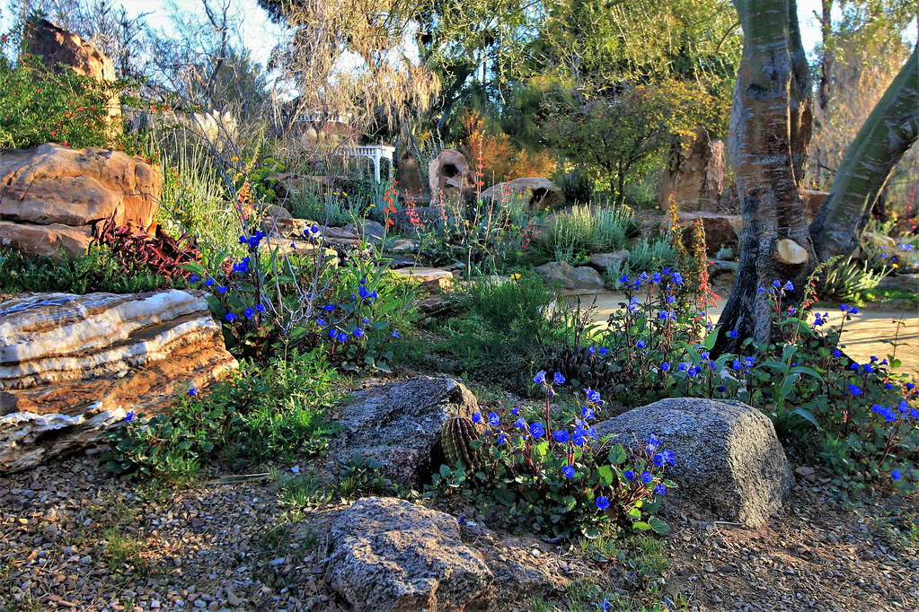 Boulder rock garden landscaping