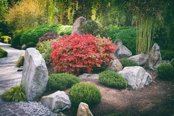 Big rocks with some plants, changing the landscape of the garden