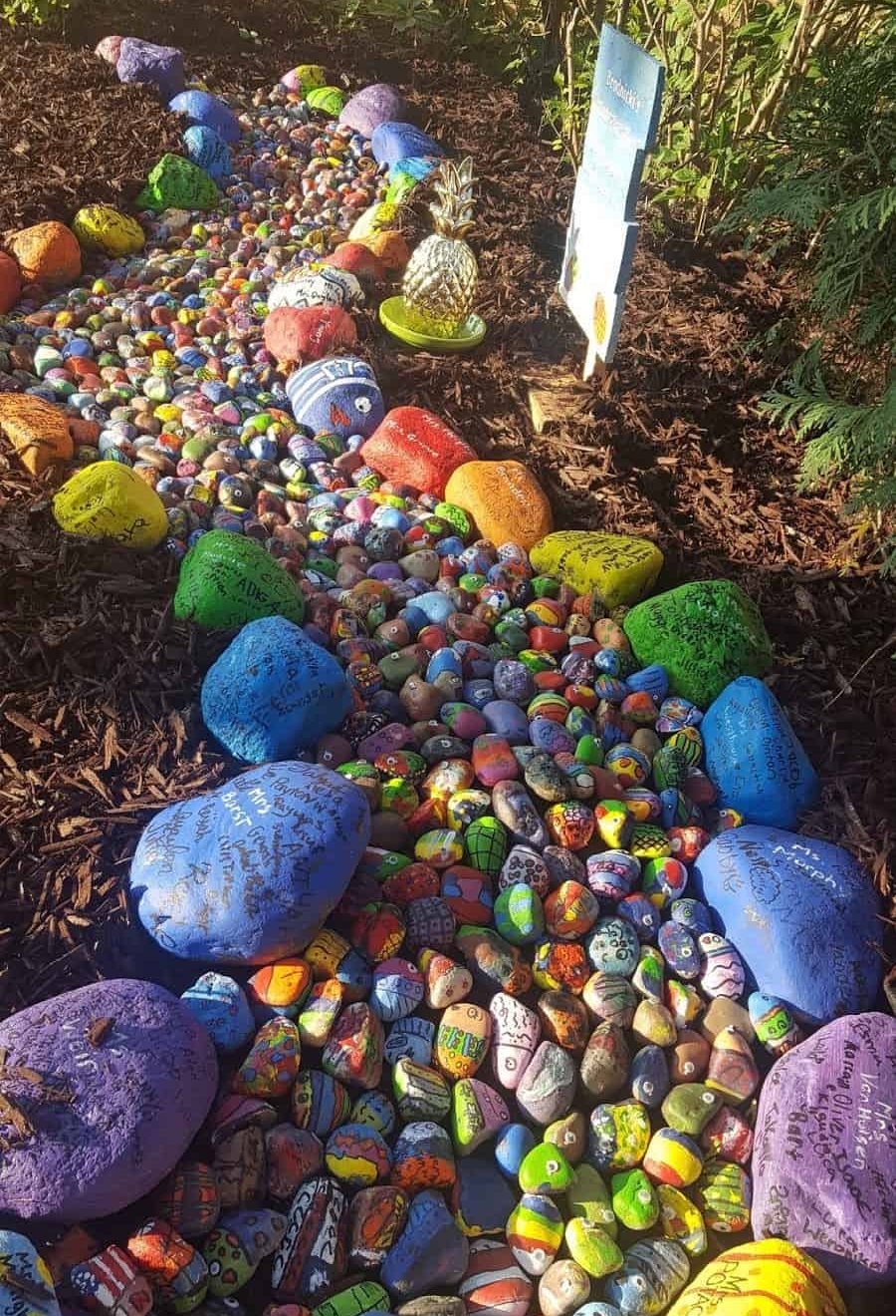 Colourful rock garden path