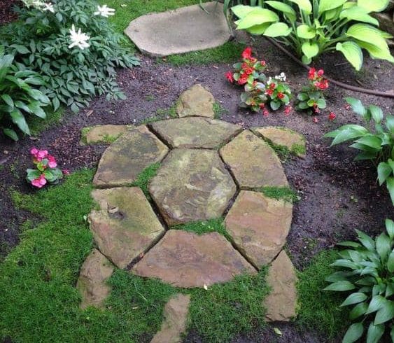 Turtle-shaped stepping stones