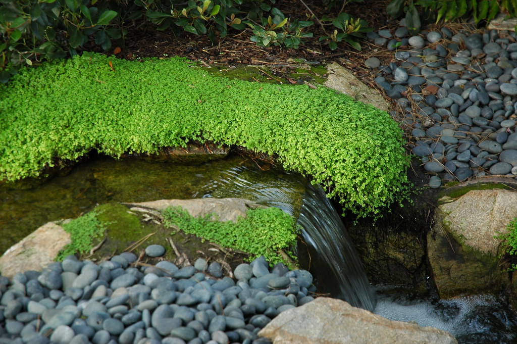 Zen rock waterfall with moss