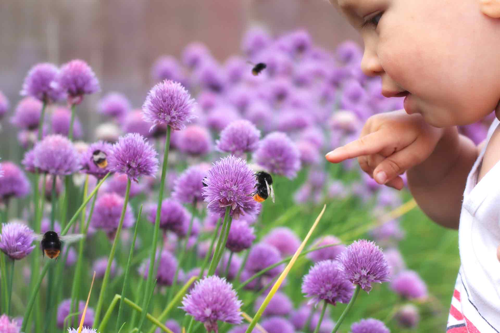 Sensory garden ideas for children