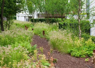 Winding pathways with tons of ornamental grasses