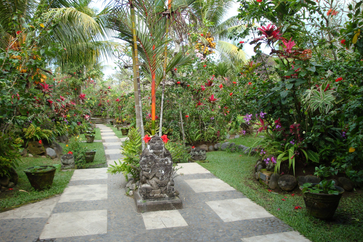 Tropical garden with concrete pathway