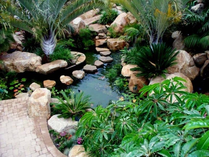 Tropical garden along with water bodies, creating a unique and fresh look for your outdoor space.