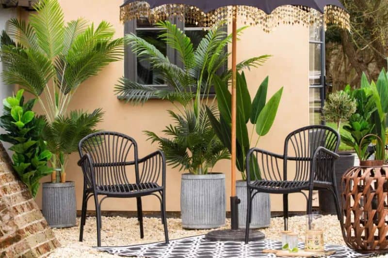A small patio embracing the tropical vibe with some potted palms