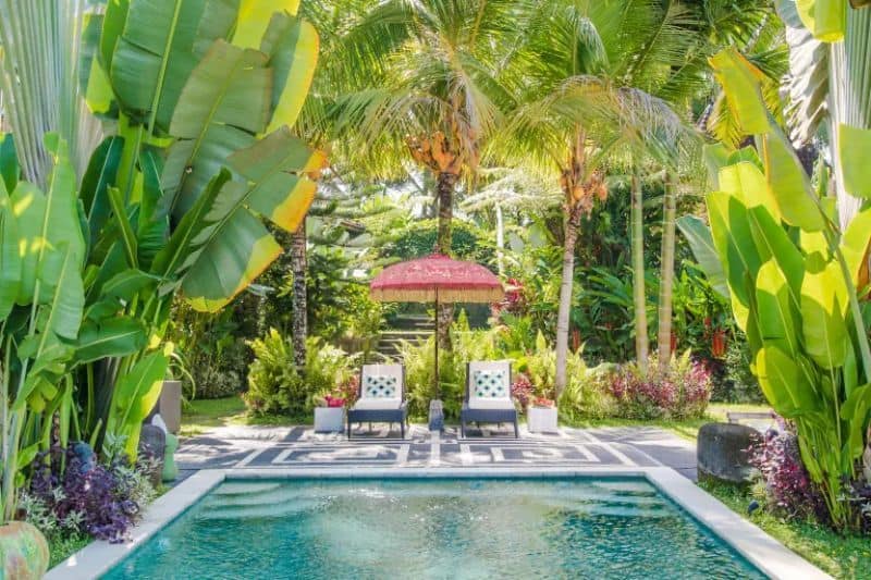 A pool paired with massive tropical leaves and palm trees