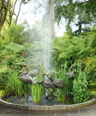 A tropical garden with a hypnotic water feature