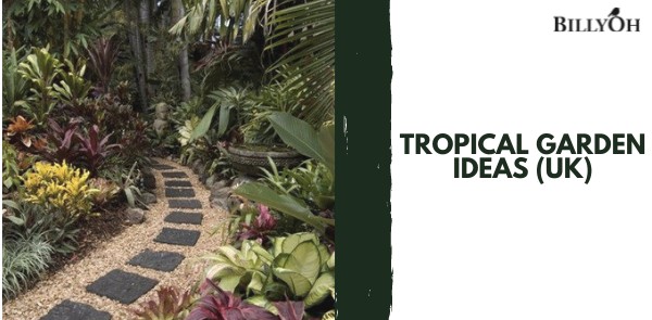 Tropical Garden Ideas (UK)