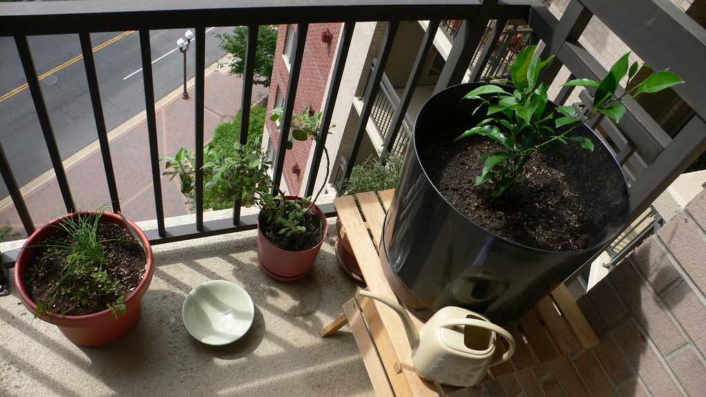 A variety of balcony garden pots in different sizes