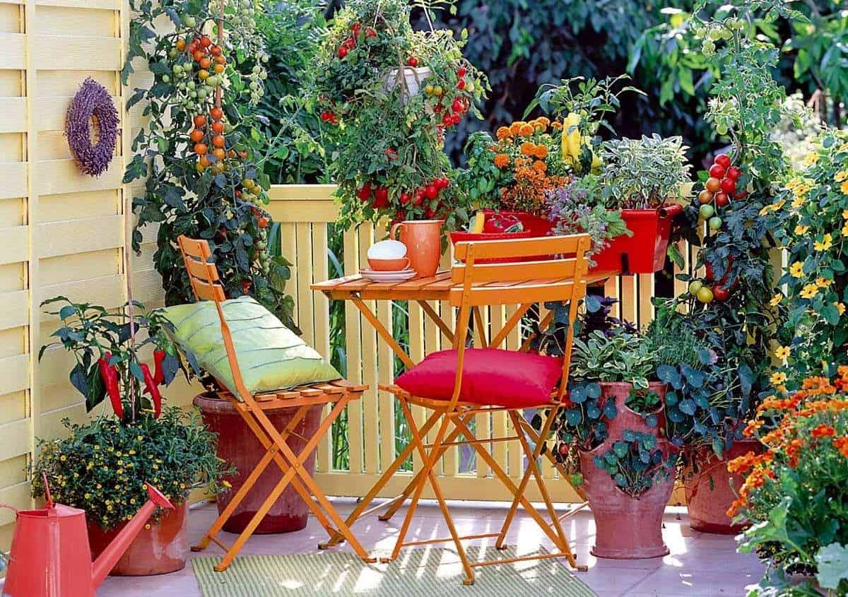 Small, colourful balcony garden