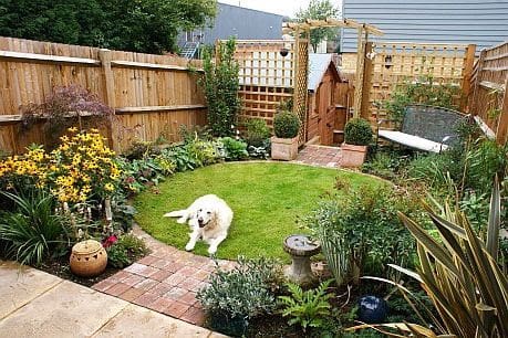 Grass island with a trellis that divides the garden into defined spaces with a dog on the lawn