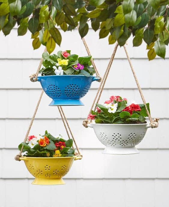 Hanging flowers with colourful pots