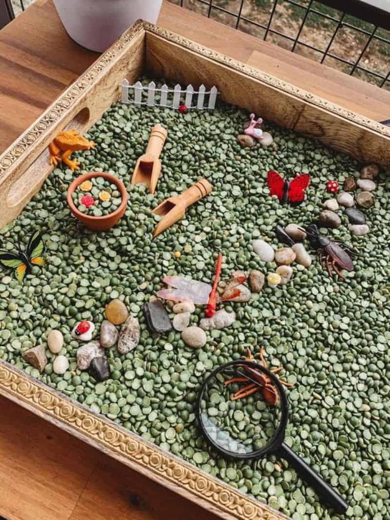 Miniature pebble garden