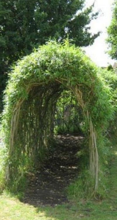 Garden tunnel