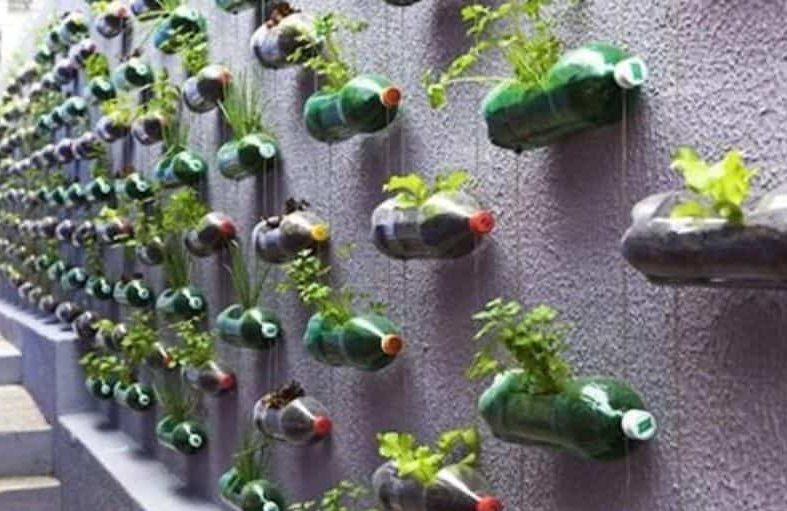 Recycled plastic bottles