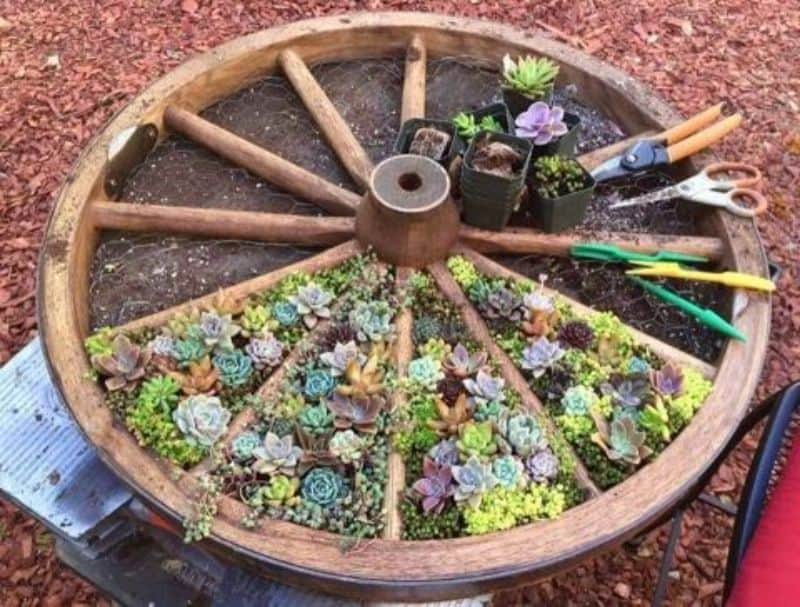 Flowers in old cart wheel