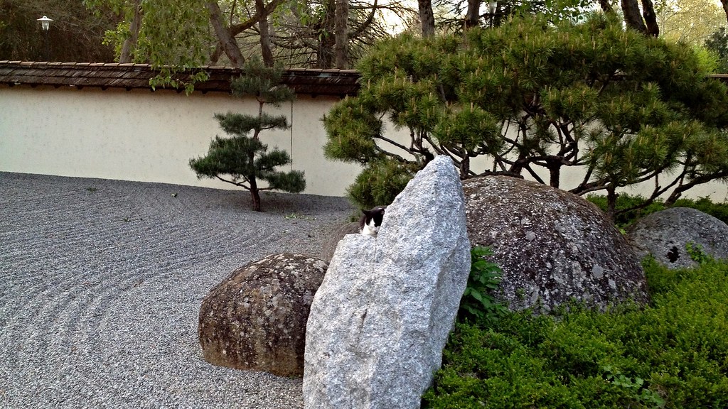 Front yard Zen with pebbles and rock sculptures.