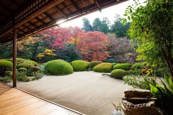 Open simple zen garden