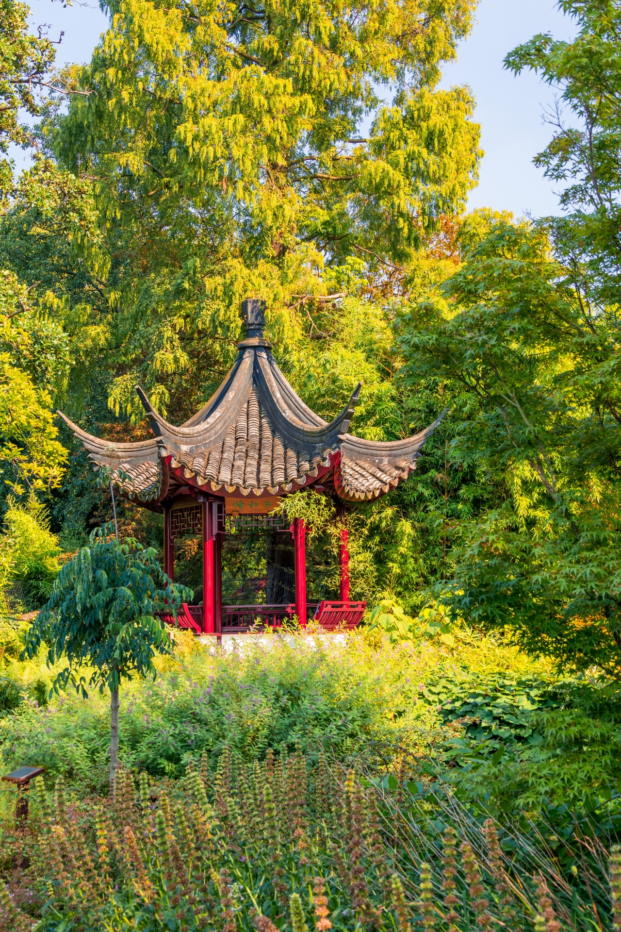 Red modern Zen pavillion