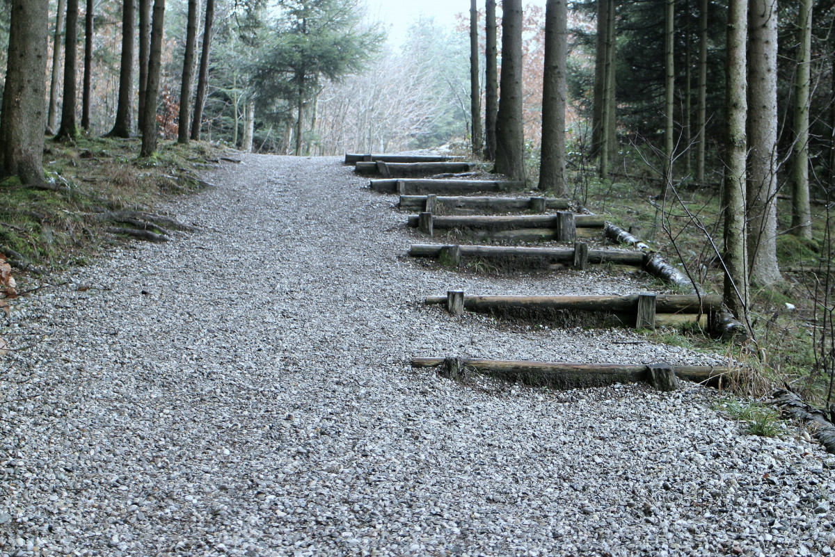 Grey pathway with small pebbles.