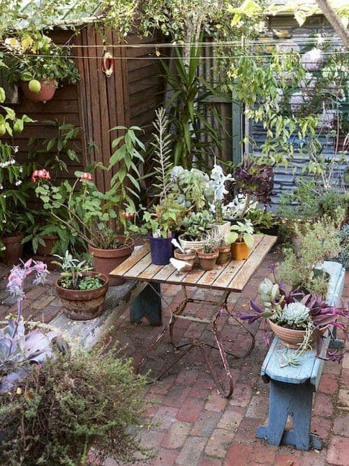 Cosy gardening patio with scattered plant pots, climbing vines, and a water feature